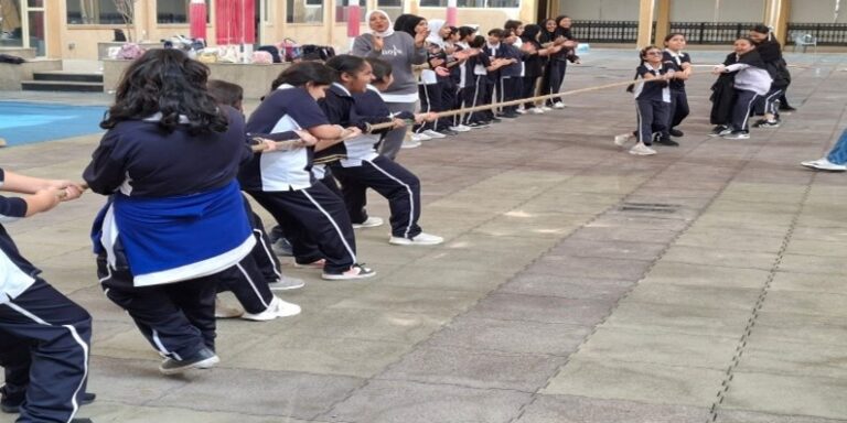 مفوضية دبي (8)